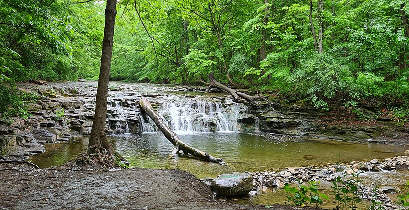 Great Gully Falls has lovely waterfalls and a wading pool. Great Gully Falls