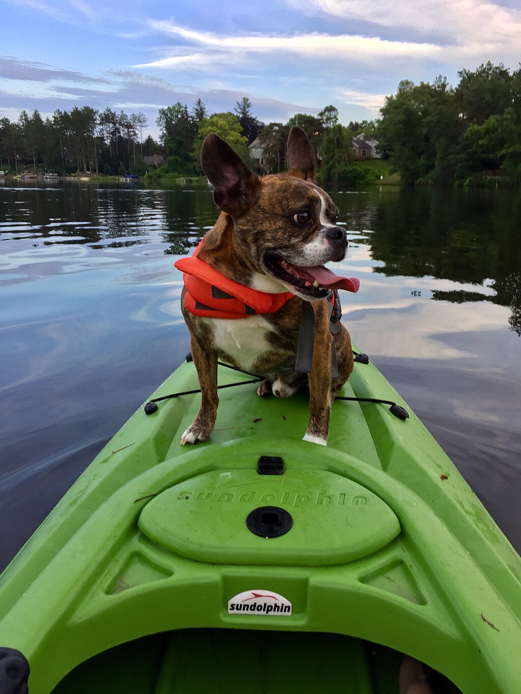Paddle with your pup Kayaking with dog