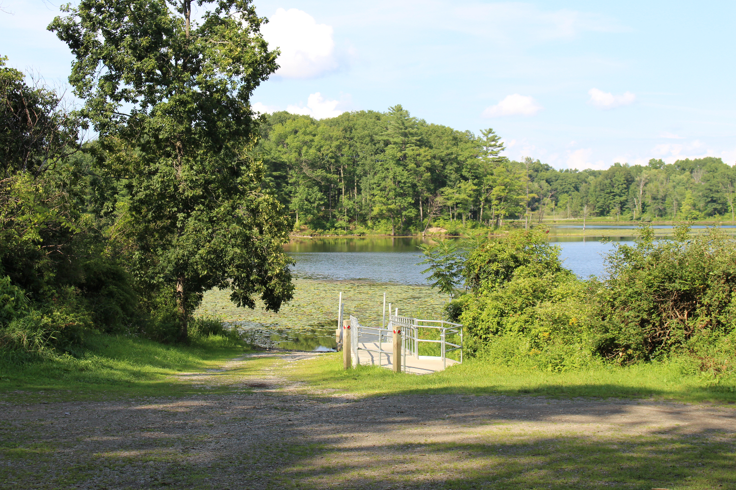 Birdseye Hollow State Forest has a great launch for kayaks and canoes. Birdseye Hollow State Forest small craft launch