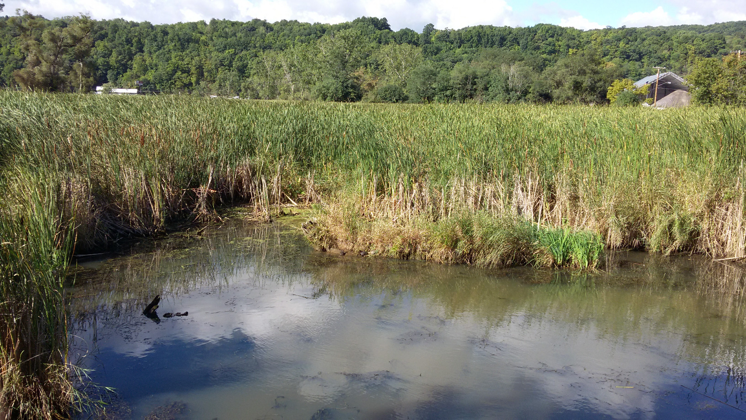 Catherine Creek WMA The Catherine Creek WMA