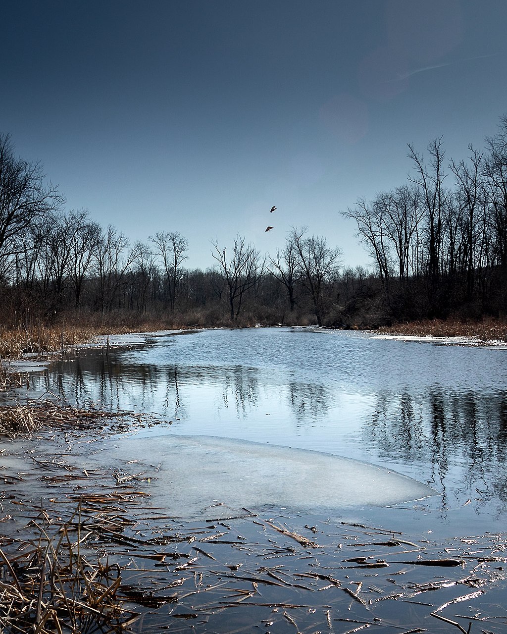 Access Lamoka and Waneta Lakes through the Lamoka Channel. Lamoka channel
