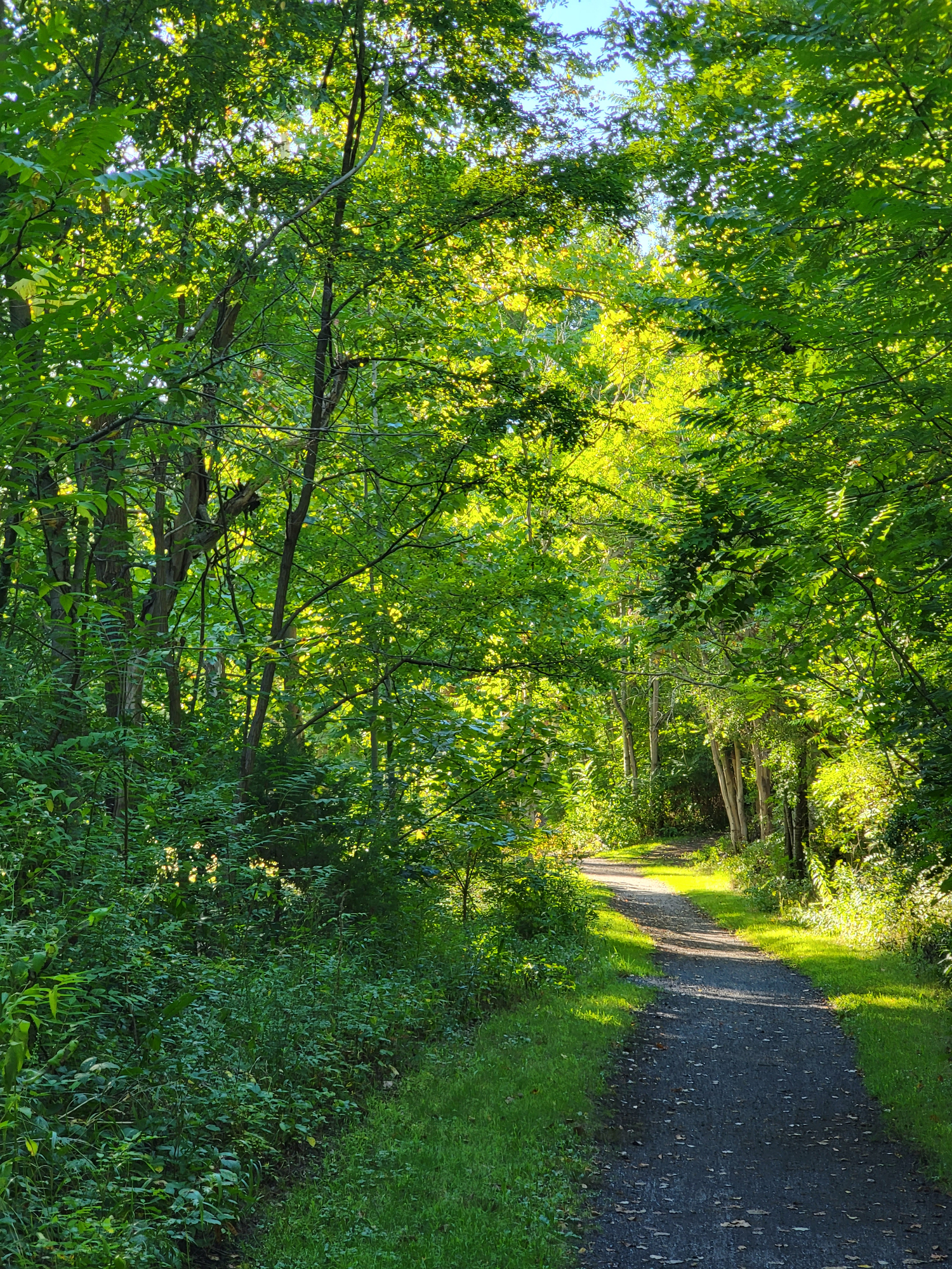The Penn Yan potion of the Keuka Outlet Trail. Keuka Lake Outlet Trail