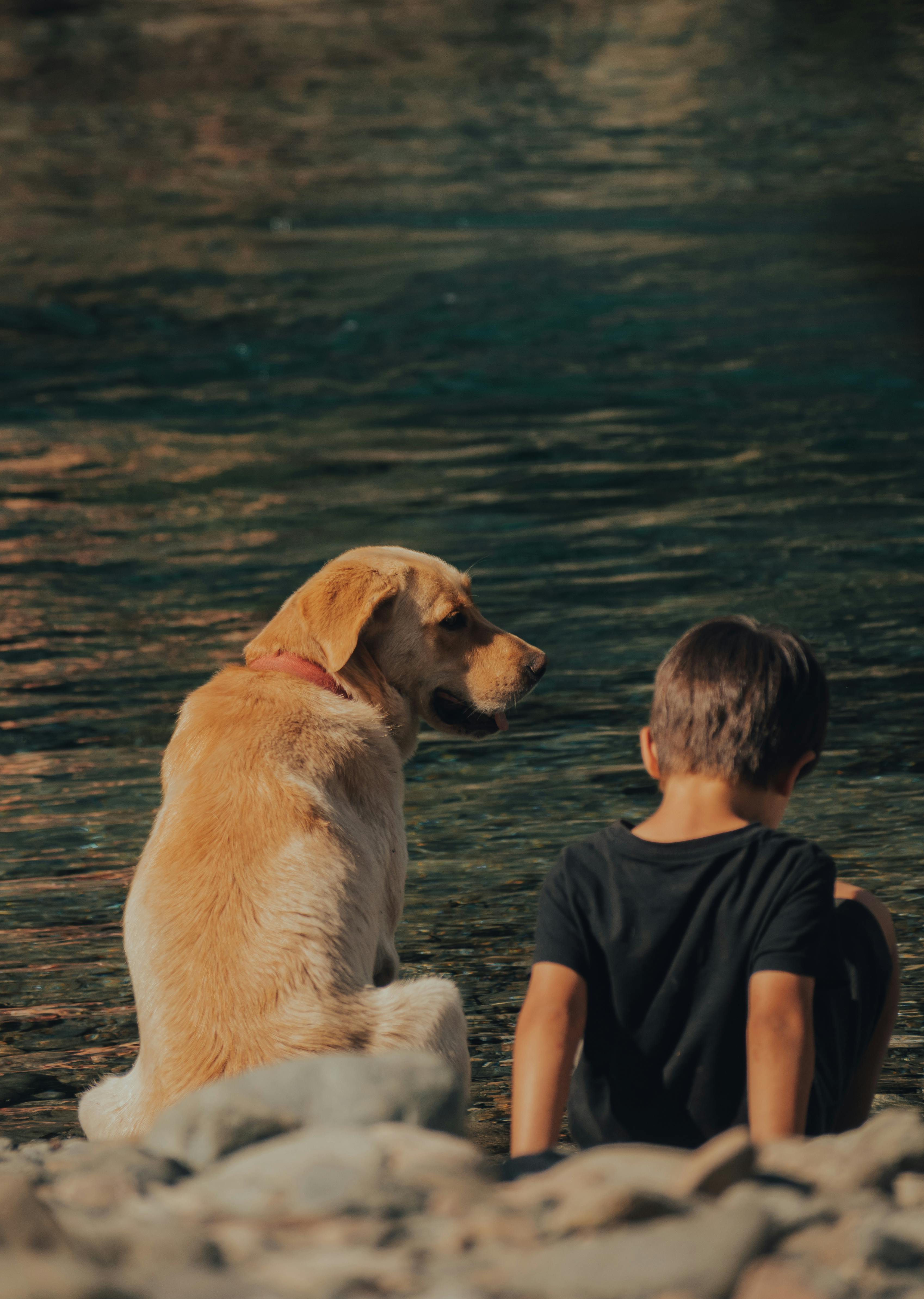 Bring your pup to hike and enjoy the water. Dog and boy by lake shore
