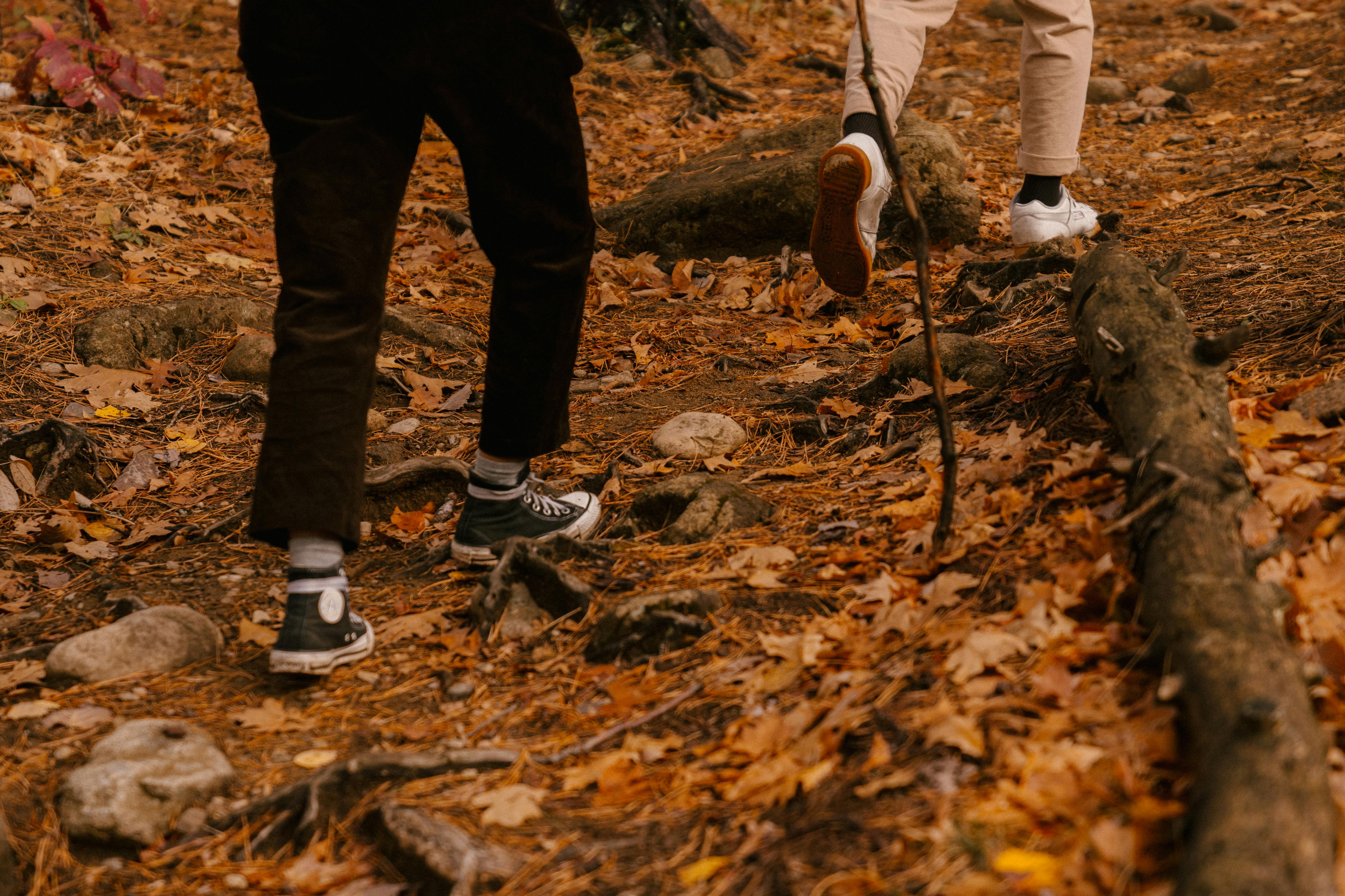hiker's feet on trail hiker's feet on trail